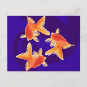 Goldfish Postkarte (Vorderseite)