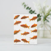 Goldfish Postkarte (Stehend Vorderseite)