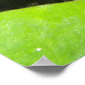 Goldfish Print Poster (Ecke)