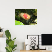 Goldfish Print Poster (Heimbüro)