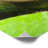 Goldfish Print Poster (Ecke)