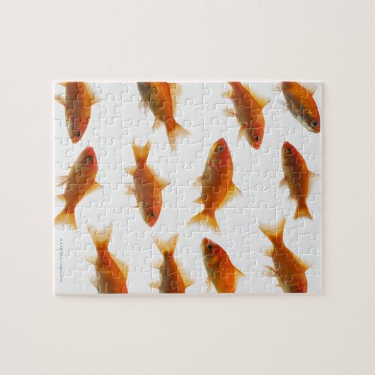 Goldfish Puzzle (Horizontal)