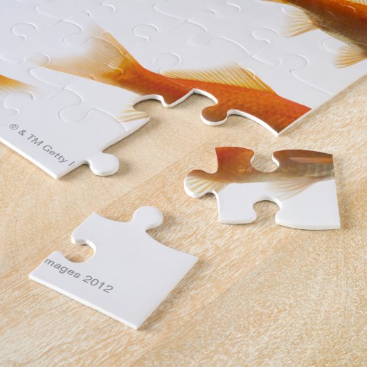 Goldfish Puzzle (Seite)