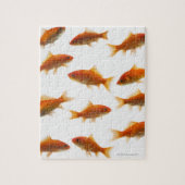 Goldfish Puzzle (Vertikal)