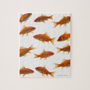 Goldfish Puzzle