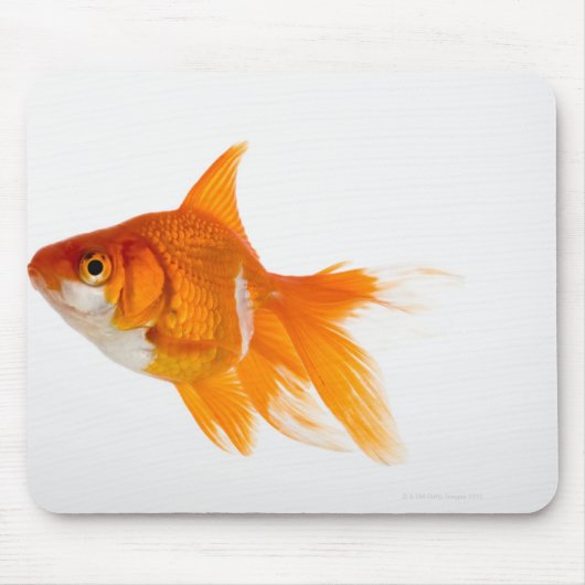Goldfish, Seitenansicht Mousepad (Vorne)