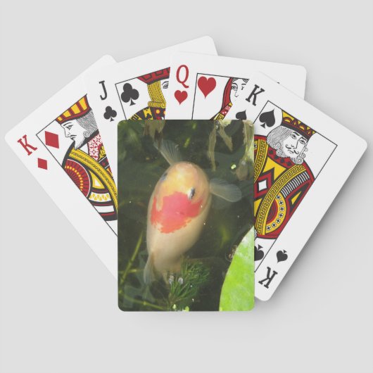 Goldfish Spielkarten (Rückseite)