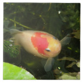Goldfish Tile Fliese (Vorderseite)