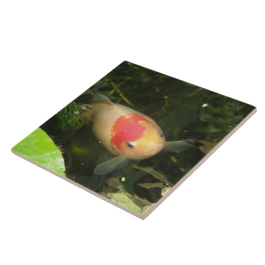 Goldfish Tile Fliese (Seite)
