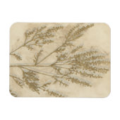 Goldfolie II Magnet (Horizontal)