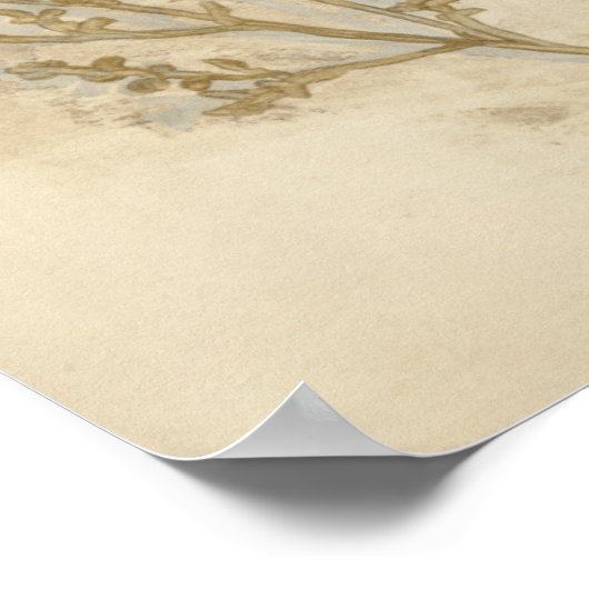 Goldfolie II Poster (Ecke)