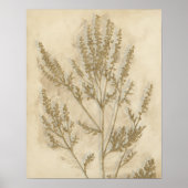 Goldfolie II Poster (Vorne)