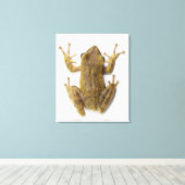 Goldfrösche Leinwanddruck (Insitu (Holzboden))