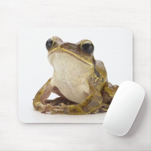 Goldfrösche Mousepad (Mit Mouse)