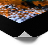 Goldfrost Poster (Ecke)