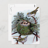 Goldgekrönte Königchen Postkarte (Vorne/Hinten)