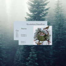 Goldgekrönte Königchen