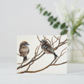 Goldgekrönte (männliche und weibliche) Königchen Postkarte (Stehend Vorderseite)