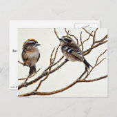 Goldgekrönte (männliche und weibliche) Königchen Postkarte (Vorne/Hinten)