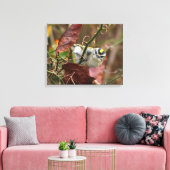 Goldgekröntes Königchen Leinwanddruck (Insitu (Wohnzimmer))