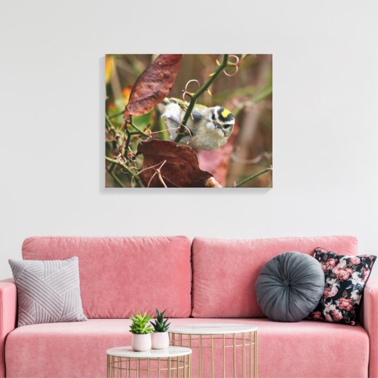 Goldgekröntes Königchen Leinwanddruck (Insitu (Wohnzimmer))