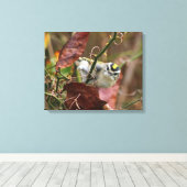 Goldgekröntes Königchen Leinwanddruck (Insitu (Holzboden))