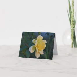 Goldgelbe Rosen Elegante Dankeskarten Dankeskarte