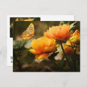 Goldgelbe Schmetterling Postkarte (Vorne/Hinten)