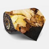 Goldgelber Ahorn verlasse Herbstasphaltsstraße Krawatte (Gerollt)