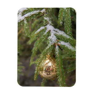 Goldglasweihnachtsverzierung auf immergrünem Baum Magnet