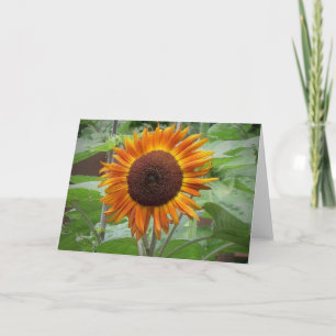 Goldglühende Sonnenblumenkarte Karte