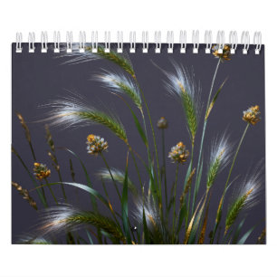 Goldgras 2027 Kalender