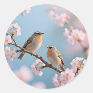 Goldhähnchen Kirschblüten Frühling Runder Aufkleber