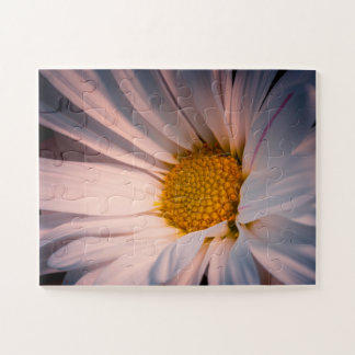 Goldherz-Gänseblümchen Puzzle