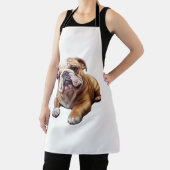 Goldhunde-Cub, süß gekräuselt Schürze (InSitu)