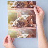 Goldhunde Flyer (Hand)