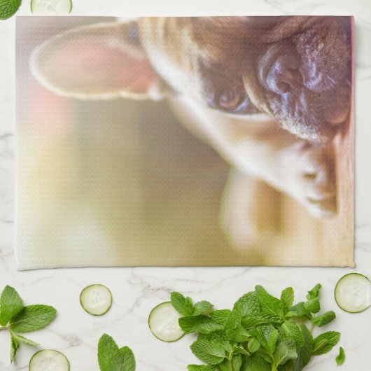 Goldhunde Geschirrtuch (Gefaltet)