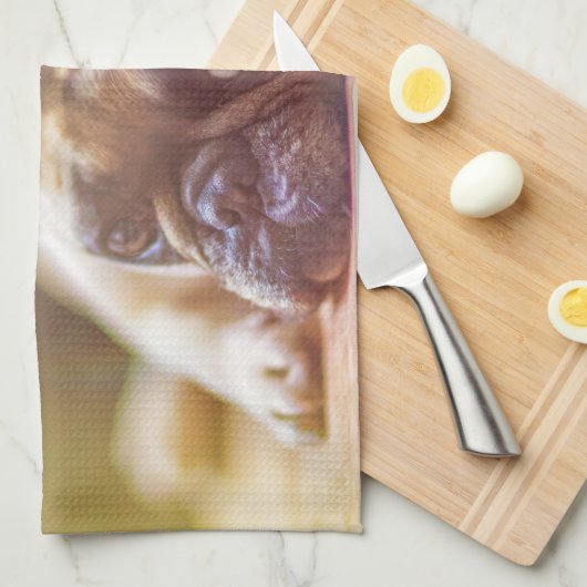 Goldhunde Geschirrtuch (Viertel Falte)