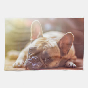 Goldhunde Geschirrtuch