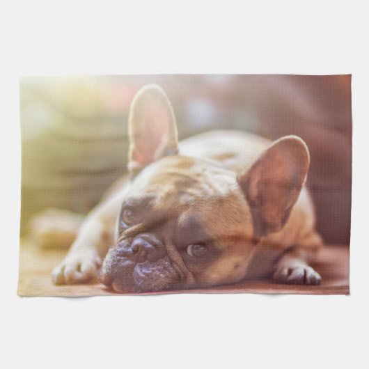 Goldhunde Geschirrtuch (Horizontal)