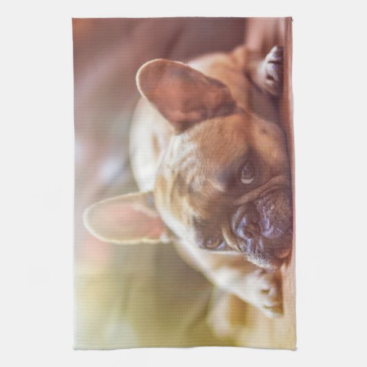 Goldhunde Geschirrtuch (Vertikal)