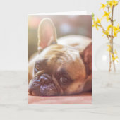 Goldhunde Karte (Gelbe Blume)