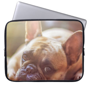 Goldhunde Laptopschutzhülle