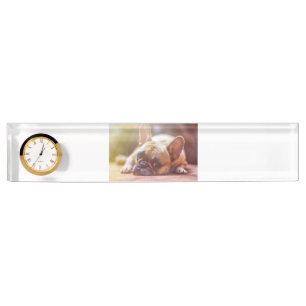 Goldhunde Namensplakette