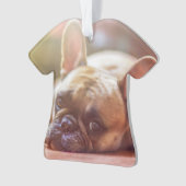 Goldhunde Ornament (Vorderseite)