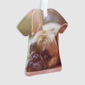 Goldhunde Ornament (Vorderseite)