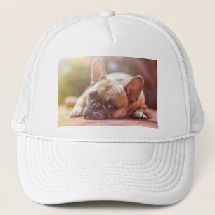Goldhunde Truckerkappe
