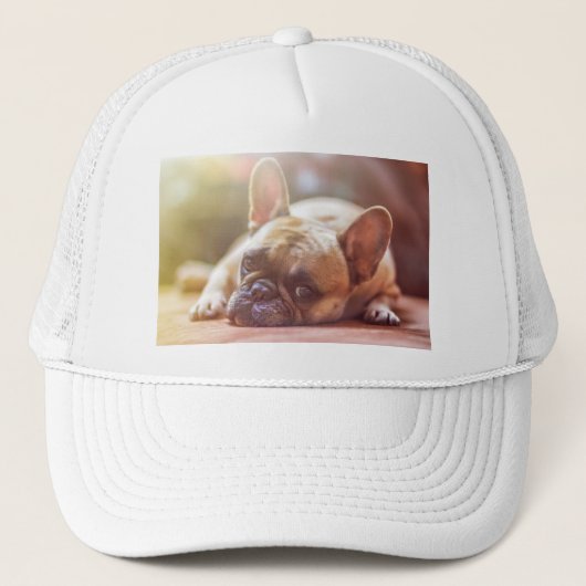 Goldhunde Truckerkappe (Vorderseite)