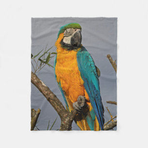 Goldie Blaues Fleece-Decke Fleecedecke