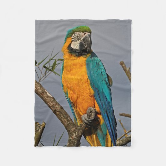 Goldie Blue Fleece Blanket (Vorderseite)
